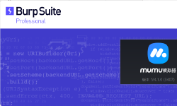 Featured image of post APP抓包之 Burpsuite+MuMu模拟器12抓包