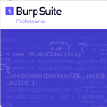 APP抓包之 Burpsuite+MuMu模拟器12抓包