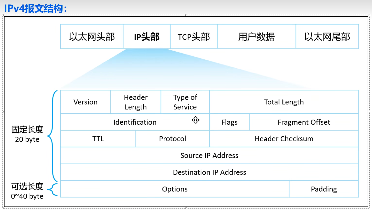 IPv4报文结构