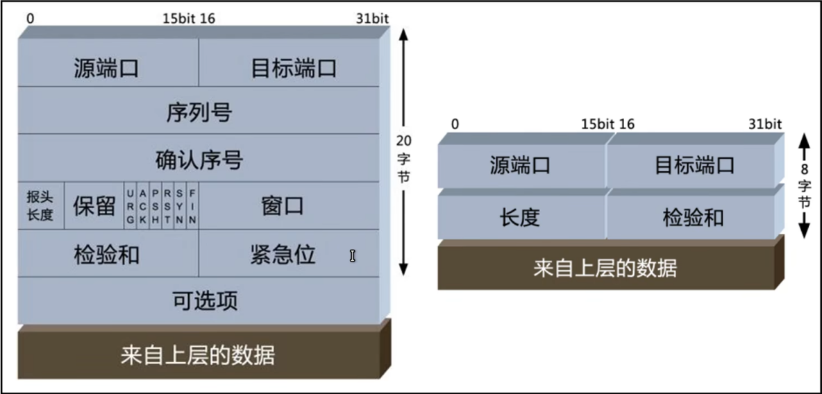 TCP和UDP数据包结构对比