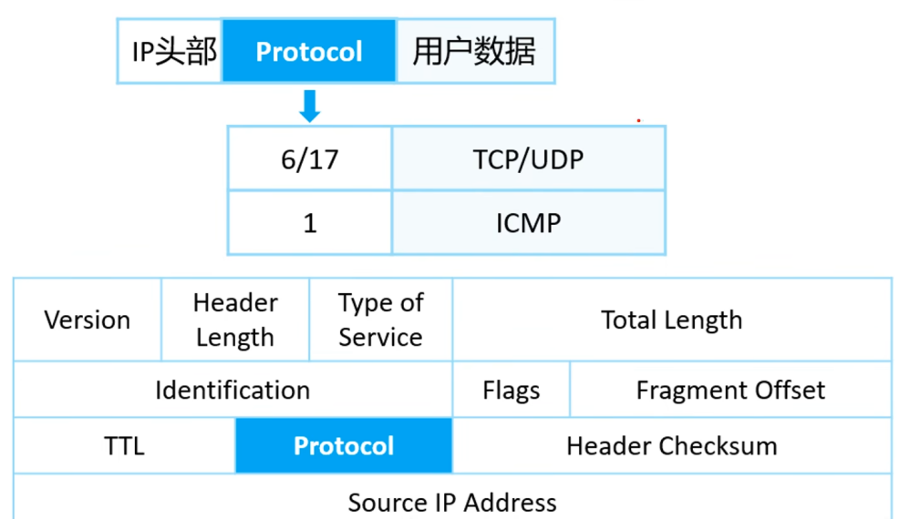 协议号:用于标识上层协议